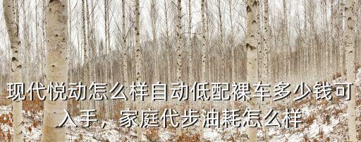 濰坊悅動裸車價多少錢,自動低配裸車多少錢可入手