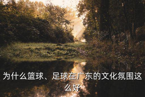 為什么籃球、足球在廣東的文化氛圍這么好