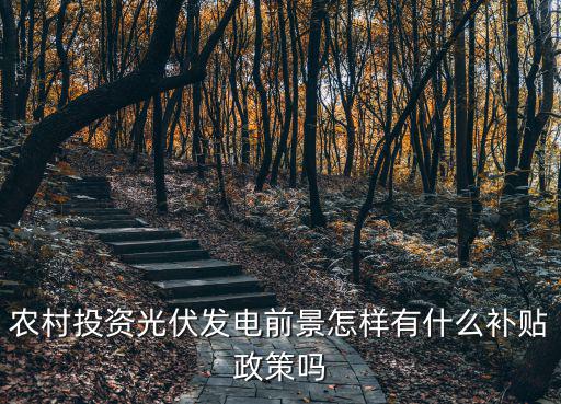 農(nóng)村投資光伏發(fā)電前景怎樣有什么補貼政策嗎