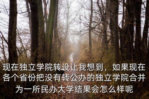現在獨立學院轉設讓我想到，如果現在各個省份把沒有轉公辦的獨立學院合并為一所民辦大學結果會怎么樣呢