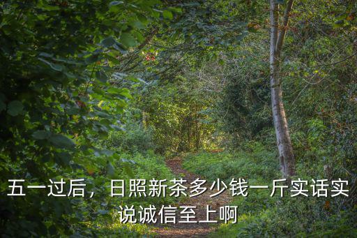 五一過后，日照新茶多少錢一斤實話實說誠信至上啊