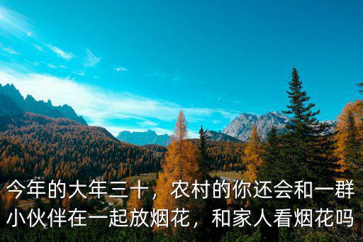 今年的大年三十，農(nóng)村的你還會(huì)和一群小伙伴在一起放煙花，和家人看煙花嗎