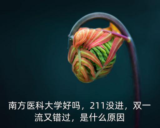 南方醫(yī)科大學(xué)好嗎，211沒(méi)進(jìn)，雙一流又錯(cuò)過(guò)，是什么原因