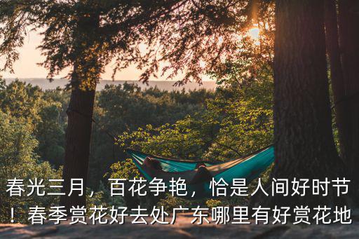 廣東天然氧在哪里,廣東哪里有好賞花地