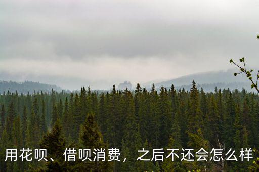 深圳花唄借唄會怎么樣,借唄逾期不還錢會怎樣