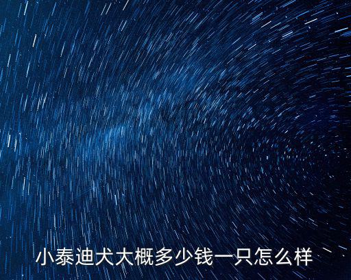 淄博泰迪狗多少錢一只,小泰迪犬大概多少錢一只