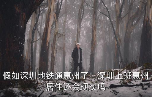深圳地鐵16號(hào)線通惠州哪里買,假如深圳地鐵通惠州了