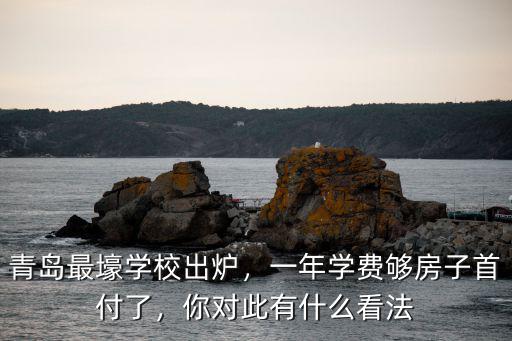 青島商業(yè)學(xué)院一年學(xué)費(fèi)多少,青島最壕學(xué)校出爐