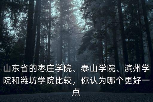 濰坊學院省排名多少,山東濰坊學院怎么樣