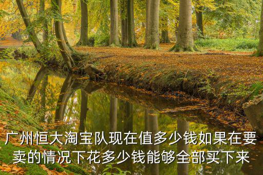 廣州恒大淘寶隊現在值多少錢如果在要賣的情況下花多少錢能夠全部買下來