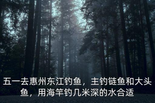 惠州東嶺釣魚場怎么樣,五一去惠州東江釣魚