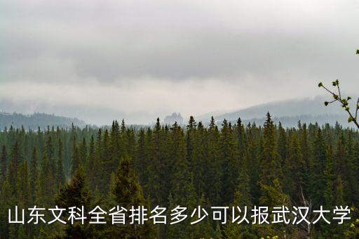 2017山東文科545是多少位次,位次近23700