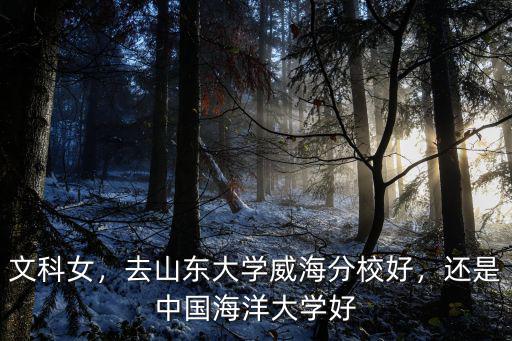 廣州市去山東大學威海分校怎么走,山大威海分校怎么樣