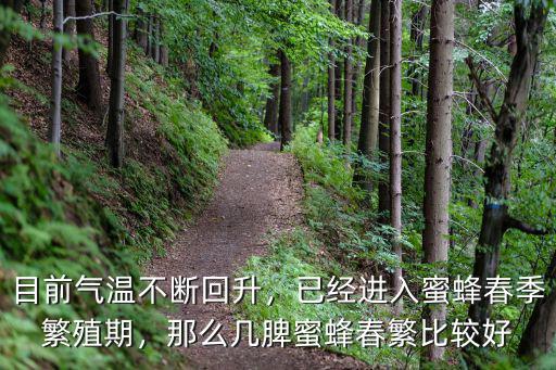山東蜜蜂多少度春繁,蜜蜂春繁需要幾脾蜜蜂