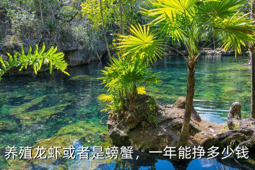 養殖龍蝦或者是螃蟹，一年能掙多少錢