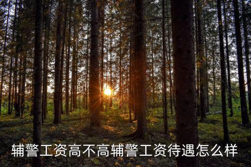 輔警工資高不高輔警工資待遇怎么樣