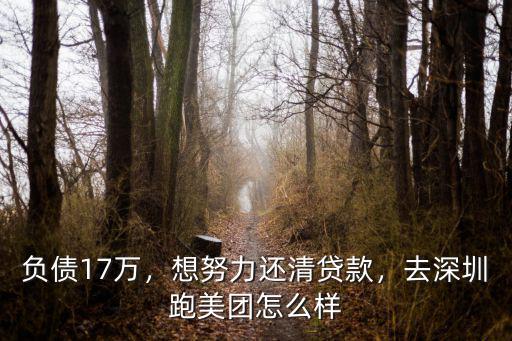 負債17萬，想努力還清貸款，去深圳跑美團怎么樣