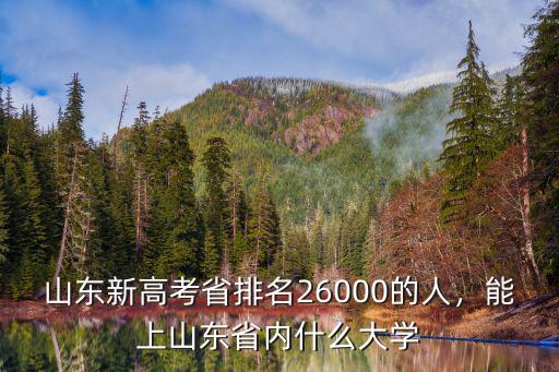 山東新高考省排名26000的人，能上山東省內(nèi)什么大學(xué)