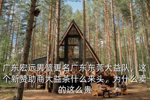 廣東東莞大益茶隊在東莞南城哪里,廣東東莞大益輸給了浙江稠州