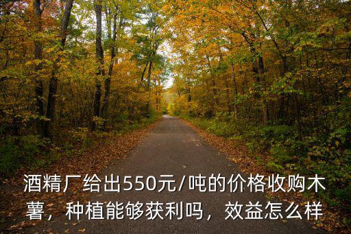 酒精廠給出550元/噸的價格收購木薯，種植能夠獲利嗎，效益怎么樣