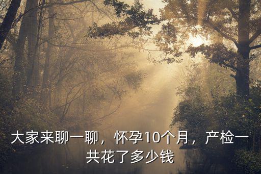 大家來聊一聊，懷孕10個月，產檢一共花了多少錢