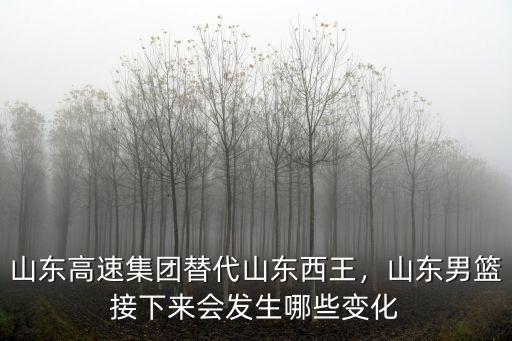 山東高速集團替代山東西王，山東男籃接下來會發生哪些變化