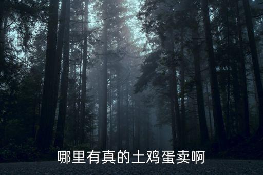 哪里有真的土雞蛋賣啊