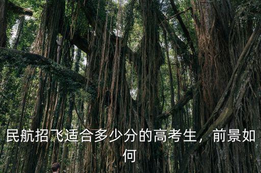民航招飛適合多少分的高考生，前景如何