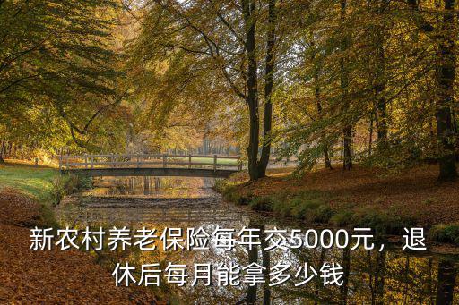 新農(nóng)村養(yǎng)老保險(xiǎn)每年交5000元，退休后每月能拿多少錢