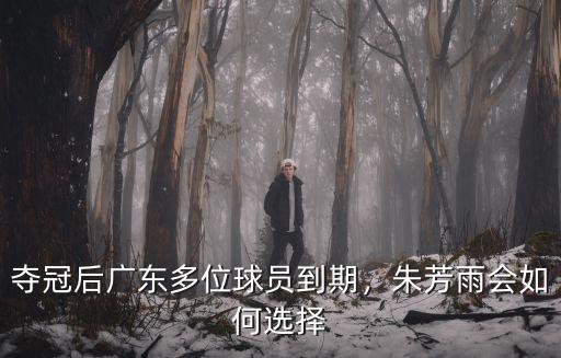廣東奪冠朱芳雨獎金多少,奪冠后廣東多位球員到期