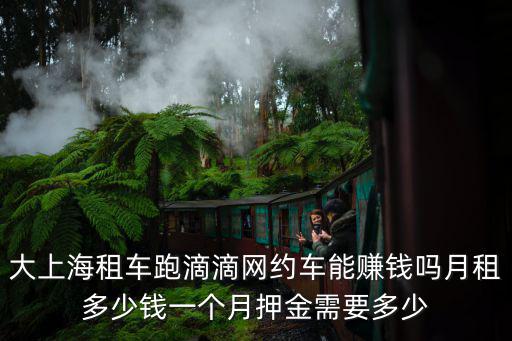 大上海租車跑滴滴網約車能賺錢嗎月租多少錢一個月押金需要多少