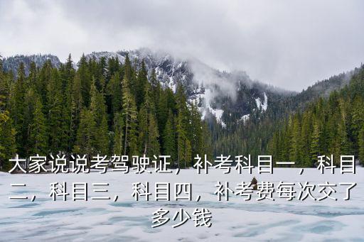 大家說說考駕駛證，補考科目一，科目二，科目三，科目四，補考費每次交了多少錢