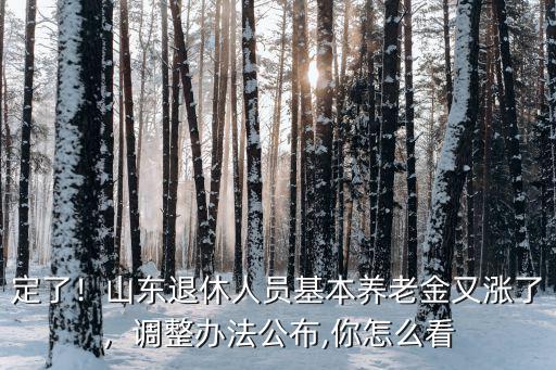 定了！山東退休人員基本養老金又漲了，調整辦法公布,你怎么看