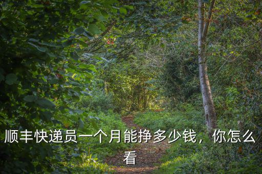 順豐快遞員一個月能掙多少錢，你怎么看
