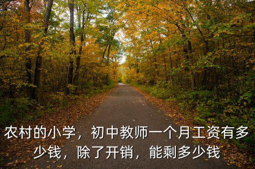 舟山小學教師工資多少錢,鄉鎮小學教師年收入多少