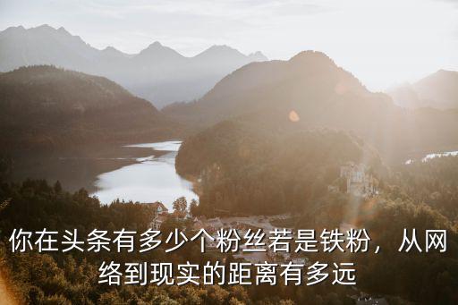 你在頭條有多少個粉絲若是鐵粉，從網絡到現實的距離有多遠