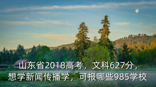 山東高考文科多少分能上985,山東省2018高考