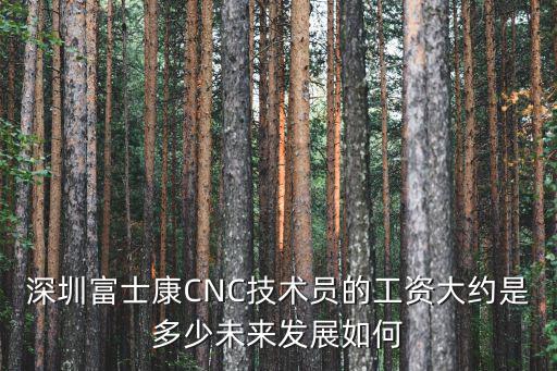 2014年深圳富士康底薪是多少,深圳富士康普通工人工資多少