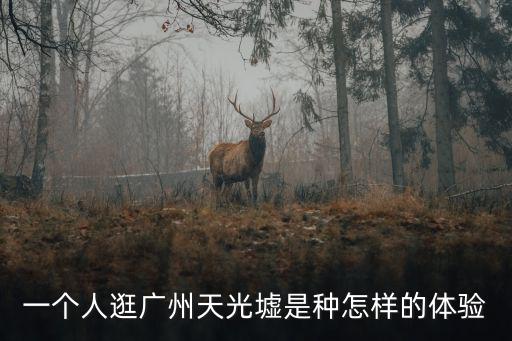 一個人逛廣州天光墟是種怎樣的體驗