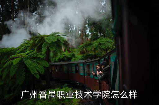 廣州市環(huán)境技術中心怎么樣6,廣州番禺職業(yè)技術學院怎么樣