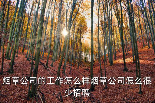 煙草公司的工作怎么樣煙草公司怎么很少招聘