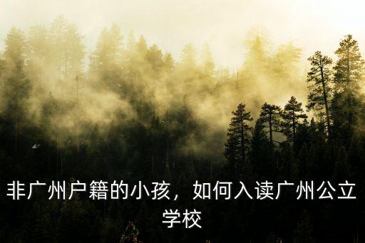 美國籍怎么報(bào)讀廣州的民辦小學(xué),非廣州戶籍的小孩
