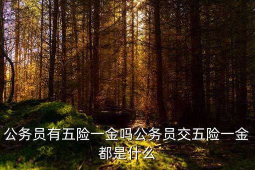 肇慶公務(wù)員五險(xiǎn)一金繳納多少,公務(wù)員交五險(xiǎn)一金都是什么