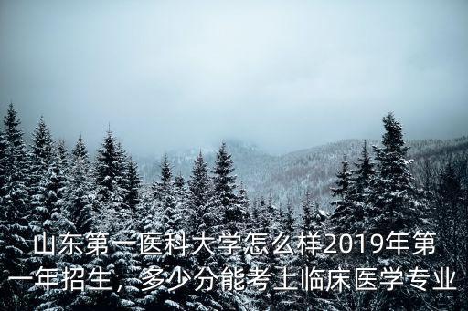 山東大學有臨床醫(yī)學多少分,山東大學臨床醫(yī)學專業(yè)怎么樣