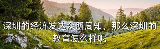 深圳的經濟發達眾所周知，那么深圳的教育怎么樣呢