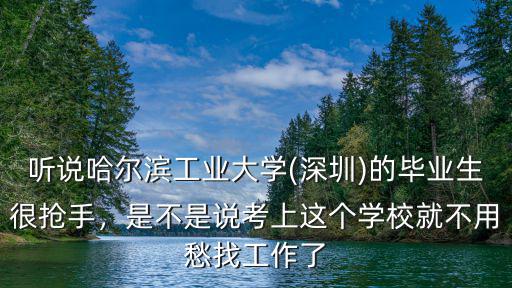 聽說哈爾濱工業大學(深圳)的畢業生很搶手，是不是說考上這個學校就不用愁找工作了