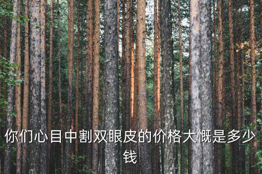 你們心目中割雙眼皮的價格大慨是多少錢