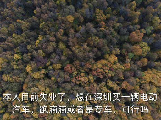 深圳電車在哪里買,在深圳想買第一輛車