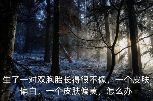 廣州雙胞胎搖號只中一個怎么辦,上海雙胞胎入學搖號怎么辦