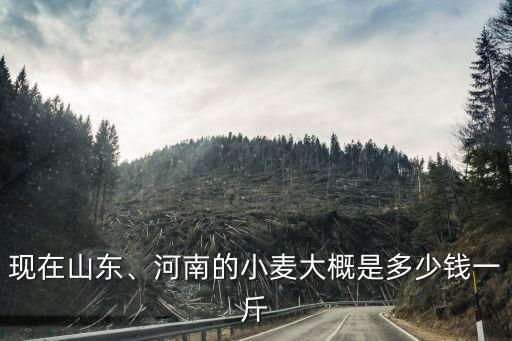 臨沂市小麥多少錢(qián)一斤,今年夏糧小麥多少錢(qián)一斤